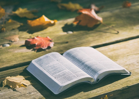 How Many Books Are in the Bible?