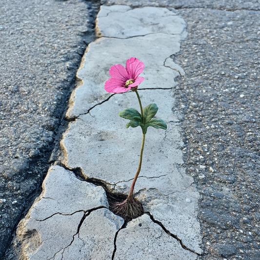 The Growing Seed: Understanding How God Grows His Kingdom